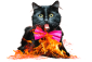 burnt_cat